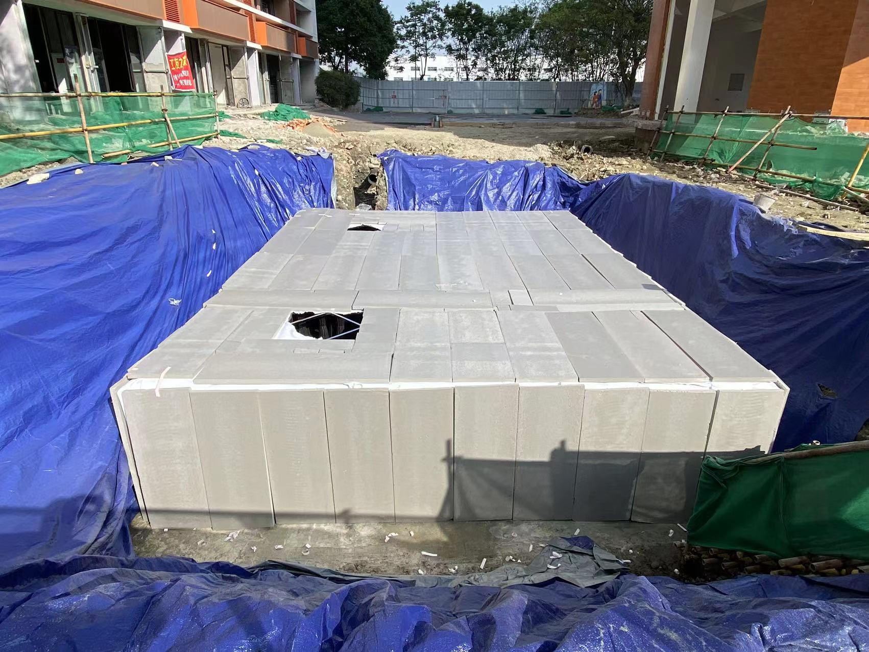 秋意渐浓，绿动宜宾再添佳话！